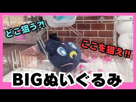 【クレーンゲーム】BIGぬいぐるみ！ここを狙え！