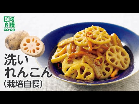 いろいろな食感を楽しもう「洗いれんこん(栽培自慢)」