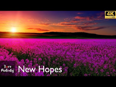 New Hopes (Audio)