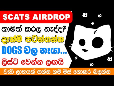 Cats Airdrop Listing Date Sinhala | CATS Airdrop Claim  | New Airdrop Sinhala | Make Money Online