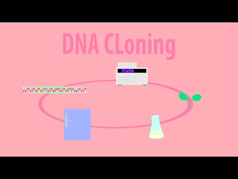 DNA Cloning - Animation of Cloning GFP into a Plant Introduction HD