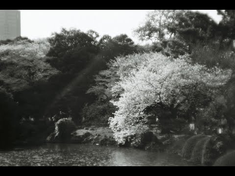 新宿御苑（東京都）