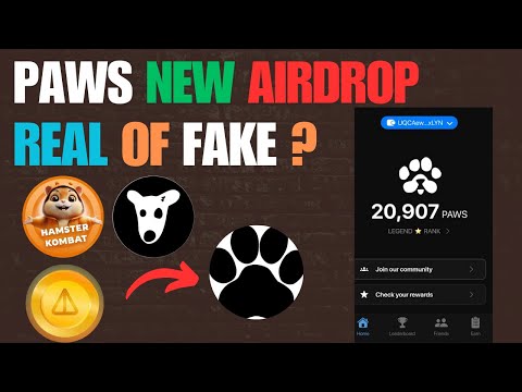 Paws Airdrop Real Or Fake  | Paws Telegram Airdrop | PAWS Airdrop Listing