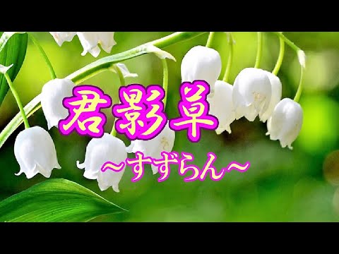 君影草〜すずらん〜／川中美幸・水森かおり　cover  song-by masu2