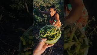 Fresh Gandules #shorts #puertorico #boricua #puertoricoselevanta