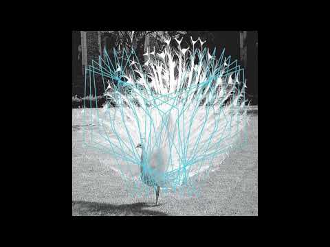 Valerio Tricoli || Thomas Ankersmit || Forma II (2011) Full Album