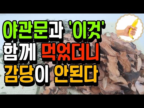 야관문과 '이것' 먹으면 밤마다 마누라 살려달라고 도망간다!! |야관문과 '이것' 먹었더니 벌떡쇠가 되었다 |천연 비아그라 성호르몬 부자