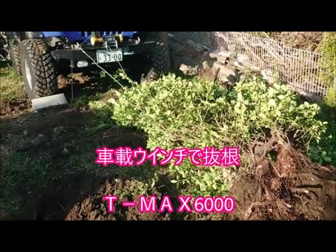 【田舎暮らし】第二駐車場を作る　車載ウインチで抜根　Ｔ ＭＡＸ6000