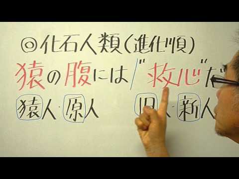 語呂合わせ日本史〈ゴロテマ〉古代:化石人類（猿原旧新人）