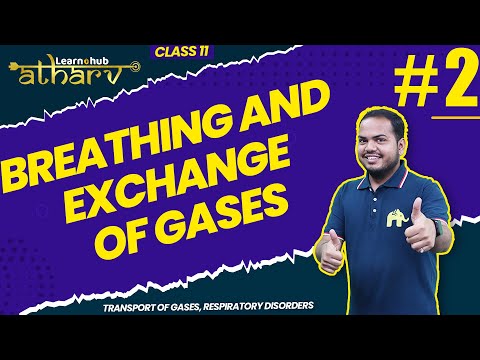 Breathing & Exchange of Gases Class 11 Biology NCERT Chapter 13 #2 | Atharv Batch