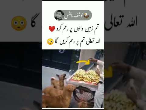 تم زمین والوں پر رحم کروںDeep lines what's ap status|| Alone status|| Urdu shayari ||kashif_write4||