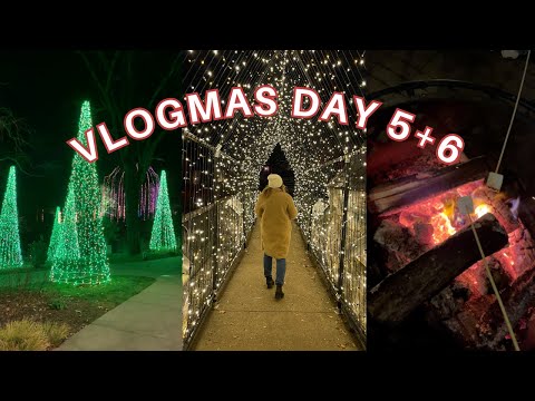 Holiday lights at the botanical gardens, grocery haul + entering my pranking era // VLOGMAS DAYS 5+6