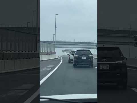 【危険運転】首都高であおり運転し、あげくにペッドポトルを投げる車が【ドラレコ / 車載動画】