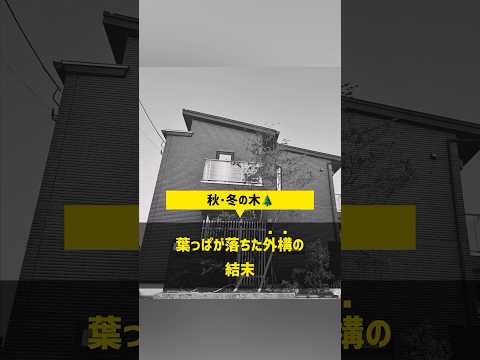 【外構】秋になると落葉樹がどう変わるのか【注文住宅】 #住宅四天王エース #ハウスメーカー #外構