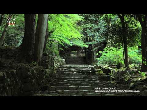 [KYOTO viewTV-42] 百済寺（東近江市） Hyakusaiji Temple, Higashiomi City, 4K Ultra HD