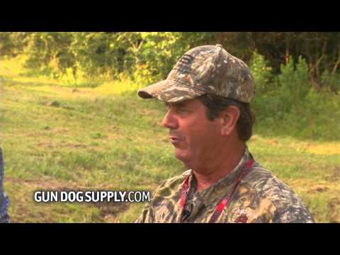 Gundog Spot & Segment 21 Whistle Commands