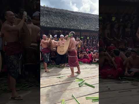 FIGHTS! Bali 2024 🇮🇩 Bali Travel Vlog #baliindonesia #bali #bali2024