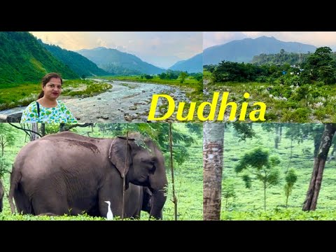 Setting Out For Dudhia // Dudhia Siliguri // A Famous Picnic Spot In North Bengal / Offbeat Place