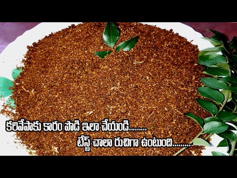 karivepaku podi in telugu | karivepaku karam in telugu | karivepaku karam | sandhyachakri vlogs |