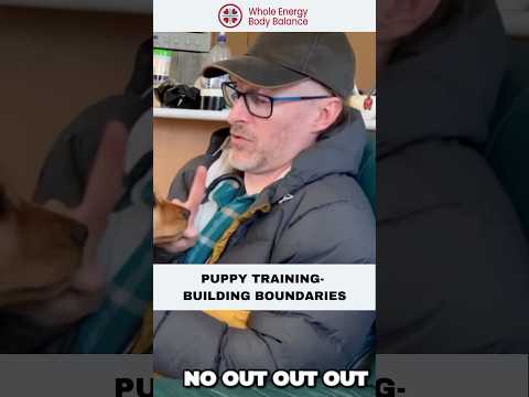 Puppy Training - Building Boundaries