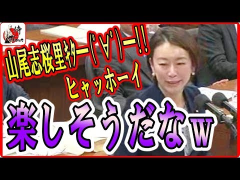 山尾志桜里🔴【国会中継】楽しそうに大臣にアドバイスｗ2018年3月30日-侍News