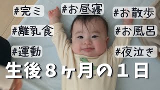 【生後８ヶ月】赤ちゃんの一日に密着/離乳食中期/夜泣き/完ミ/A day in the life of an 8 month old baby