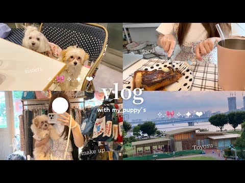 vlog | 社会人の休日vlog🎀愛犬2匹とお出かけして過ごす1日🐶🐾