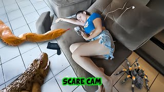 BEST SCARE CAM Priceless Reactions 2024😈#105 | Funny Videos TikTok🤣🤣 | CoCo Scare Cam |