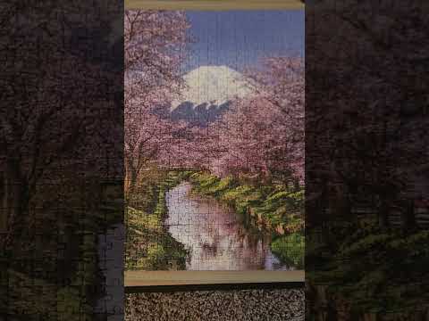 Cherry Blossom puzzle repost #puzzle