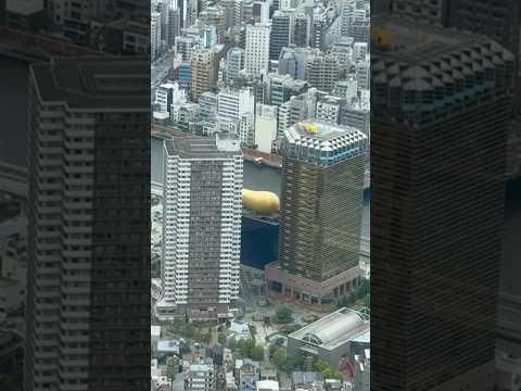 Stunning view of Asahi Beer Hall and Sumida River in Tokyo from Tokyo Skytree’s Tempo Deck (350m)!