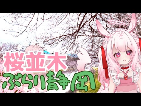 [ vtuber ]  桜並木道 長尾川 いってきた - 静岡 絶景 隠れスポット  - ぶらり静岡 【 ゆめもも 】