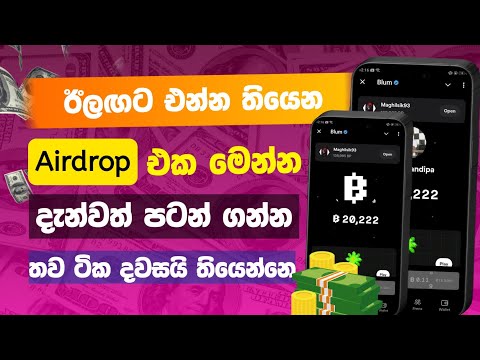 Blum Airdrop Listing Date Sinhala | New Airdrop Sinhala | Make Money Online | How to Earning E Money