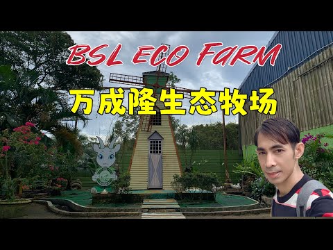 BSL Eco Farm 万成隆生态牧场, 亲子游体验牧场的好去处。(Ayer Hitam, Johor  2023)