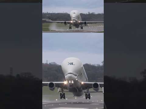 Airbus Beluga XL takeoff!