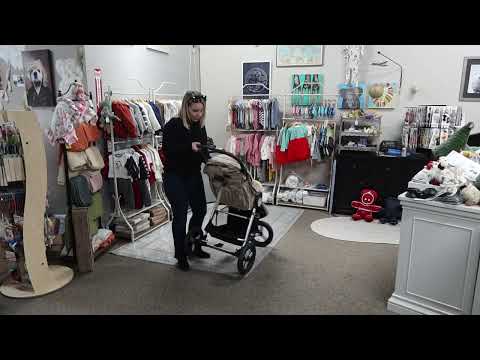 Bumbleride 2023 Indie Stroller Features Review