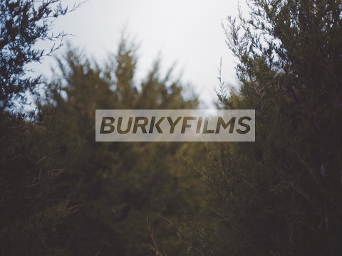 BurkyFilms Live Stream