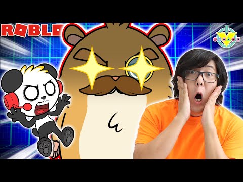 Allblox Battles with Shion and Packrat!!