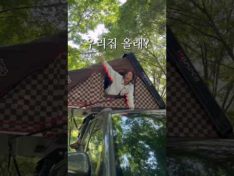 차박《노지캠핑 》 여름엔 계곡앞 나무그늘이최고지! ㅎㅎ