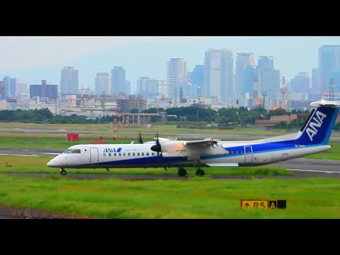 伊丹空港ライブ配信! Plane Spotting Live!  Osaka International Airport 12/12/2024