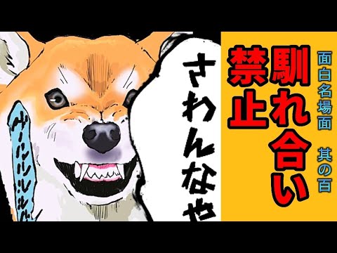 【世界の終わりに柴犬と】切り抜き編集 # 100《激怒！。》  #世界の終わりに柴犬と  #アニメ #柴犬