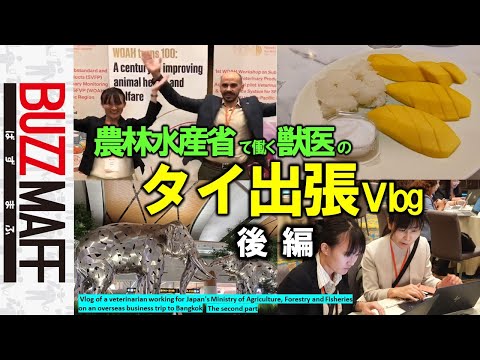 【海外出張Vlog】タイで奮闘する農水省若手獣医師の４日間！～後編～＃ヤッケン発見（Thailand Business Trip Vlog ～Part 2～）