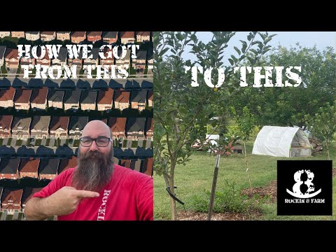 First Steps To Getting Your Homestead | Part 1 Attitude