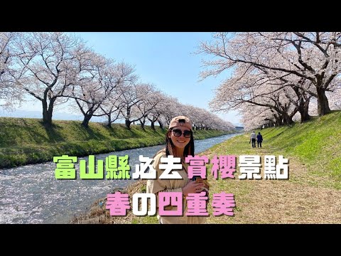 富山縣必去賞櫻景點 🌸 春の四重奏 【2022-2023 日本 VLOG】