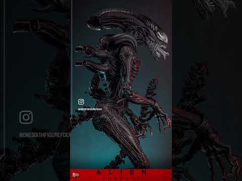 HOT TOYS | SCORCHED XENOMORPH | MMS784 | ALIEN ROMULUS #shorts #actionfigures #alienromulus #hottoys