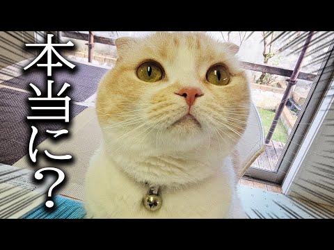 最近の動画についてお話します...