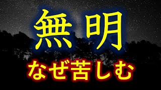 苦しみからの解放　煩悩と無明の闇の【違いが重要】