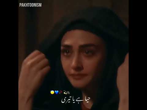 Hejab E Haya X halima Sultan | Ertugrul romantic scene | #psl | #atifaslam