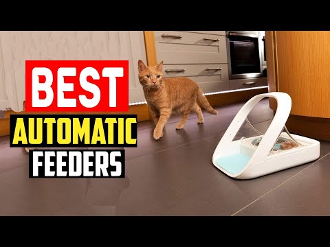 ✅Top 5 Best Automatic Feeders Tested With Real Cats in 2025