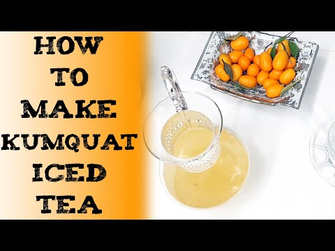 how to make kumquat iced tea 金桔冰茶 कम्क्वाट आइस्ड टी кумкватом чай té helado de kumquat Eistee