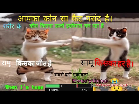 Santosh TT  Billi video Billi dice karne wala video Cat Dance #shorts #cat #pet #dance #co